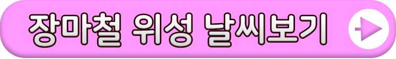 장마