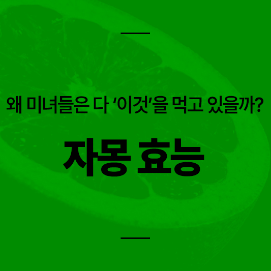 자몽 효능