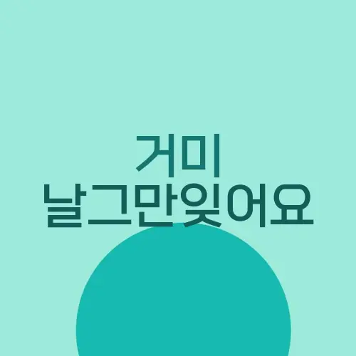 거미 날그만잊어요