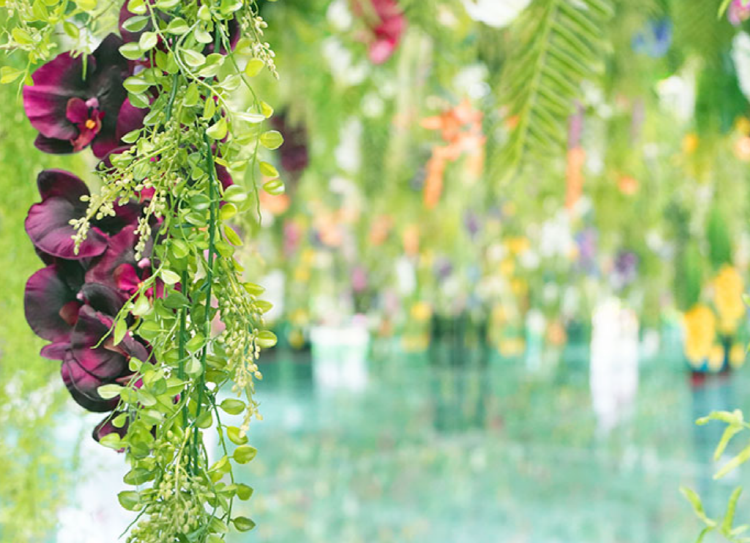 가평 베고니아 새정원