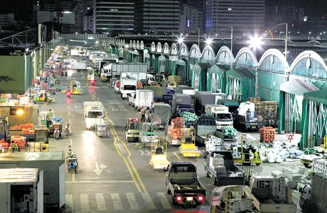 가락시장 맛집 회센터 수산시장 꽃게_7