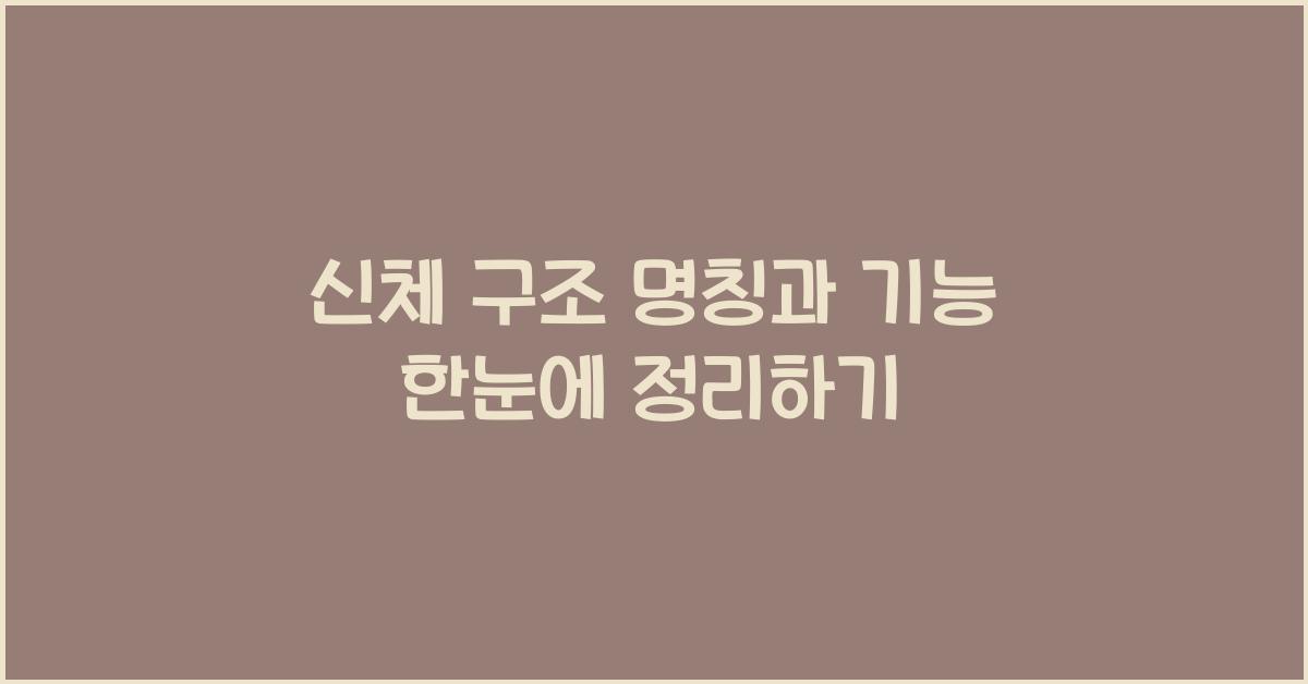 신체 구조 명칭