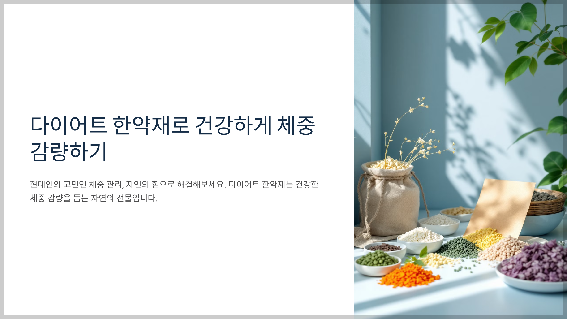 다이어트 한약재