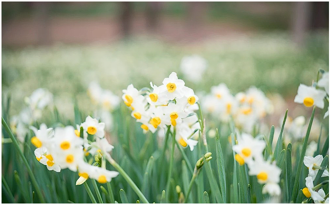 제주도 축제 일정