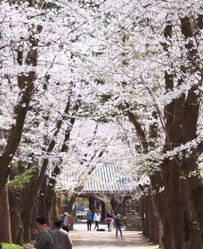 지하철 남이섬 가는 방법