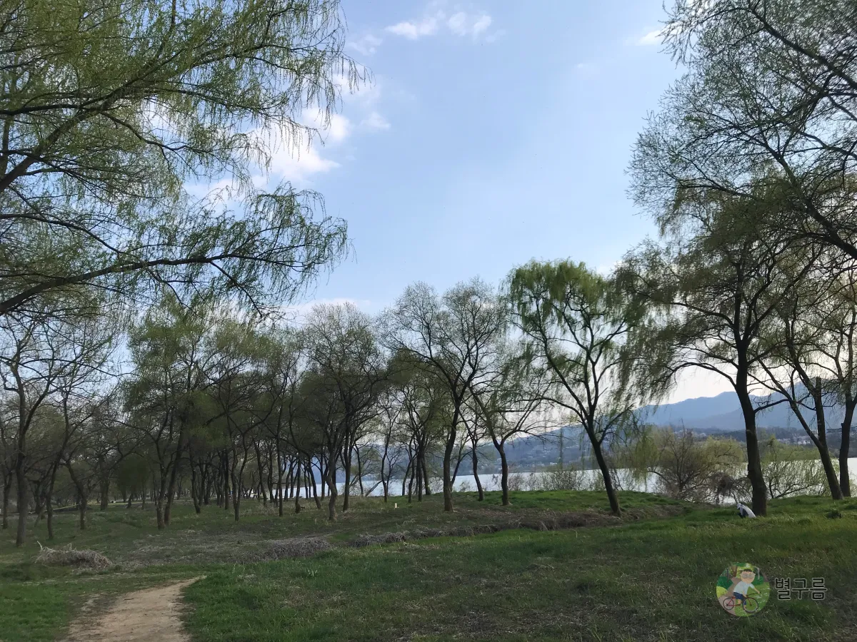 갈산공원-벚꽃-풍경-7