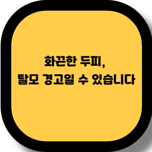 두피 열감이 탈모를 부른다? 진짜 원인과 해결 방법 정리