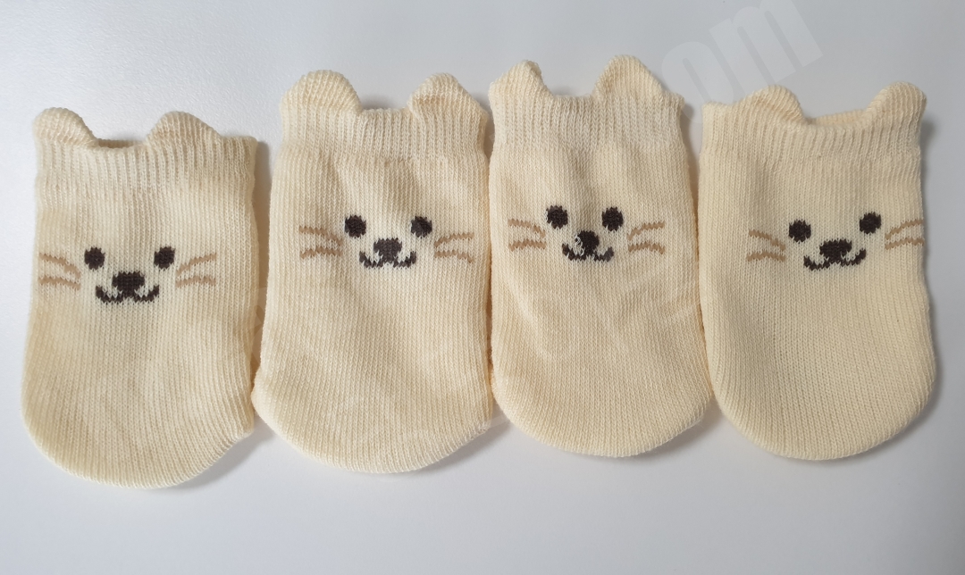 다이소 의자 발커버를 노즈워크 장난감으로