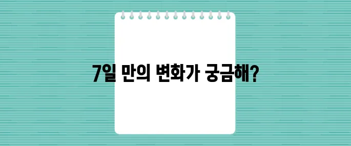 다이어트약 없이도 성공하는 저칼로리 식단 7일 플랜