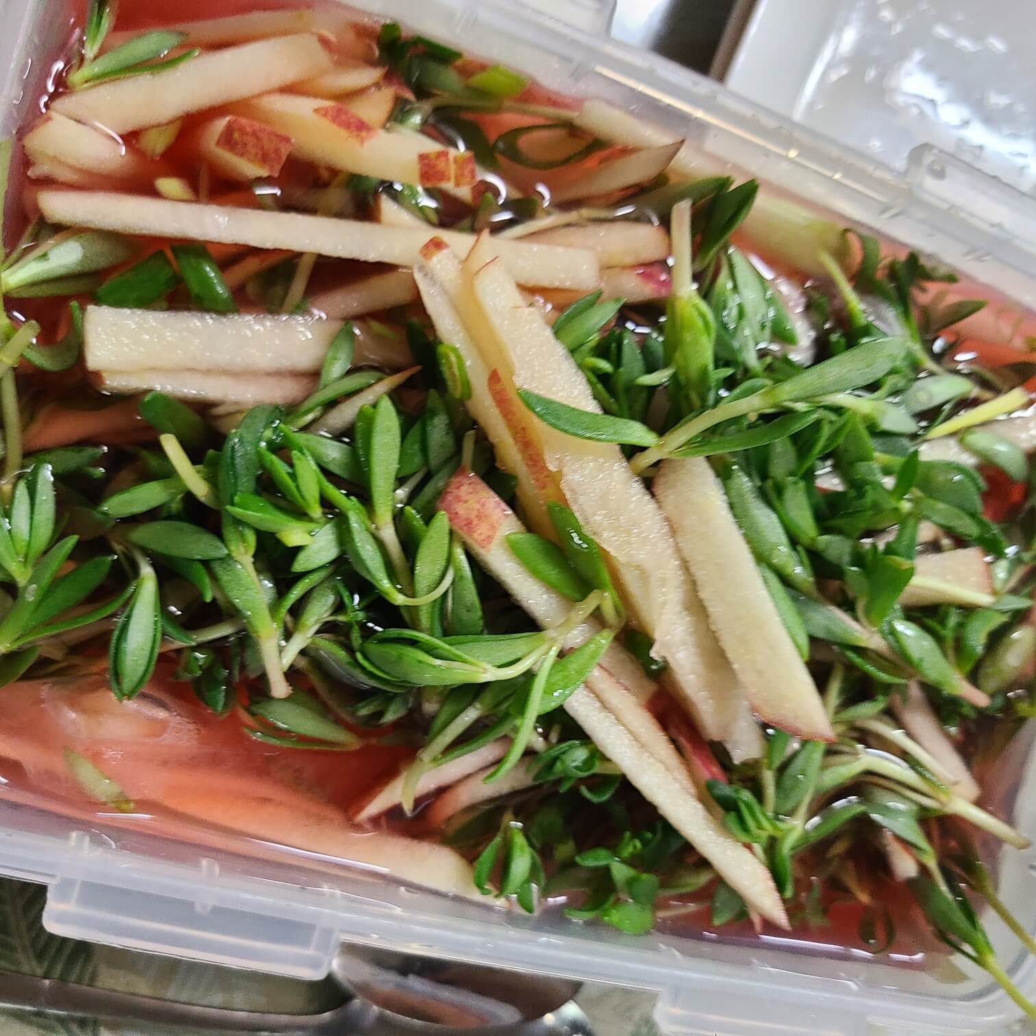 물김치담그는법 알배기배추 물김치 동치미 물김치 간단 물김치 물김치 만들기 열무 물김치 국수 만들기 간단 물김치 만들기 물김치 육수 만들기 절임배추 물김치 만들기 오이 물김치 만들기 단호박 물김치 만들기 어린이 물김치 만들기 칼칼 + 시원한 열무 물김치 만들기 김장 김치 총각무 물김치 만들기 배추물김치 만들기 돌나물물김치 밀가루풀만들기 담가서 바로 먹는 여름반찬 생생정보통 레시피보다 간단하게 물김치 만들기 파프리카 나박물김치 만들기 예쁜만큼 맛도영양도 최고! 너무 쉬운 여름김치 얼갈이배추물김치 만들기 간단 물김치만들기 백김치 물김치만들기 보리물김치만들기