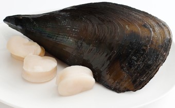 3월 제철 회 BEST 7 추천, 신선한 제철 해산물 즐기기!