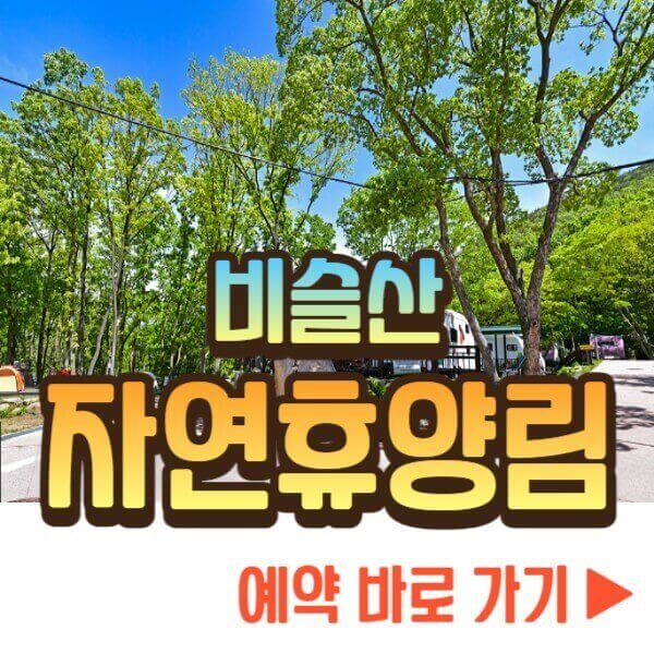 비슬산 자연휴양림 예약하기