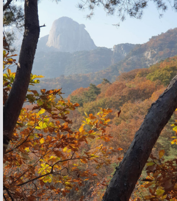 11월 단풍축제 가볼만한곳 BEST 10