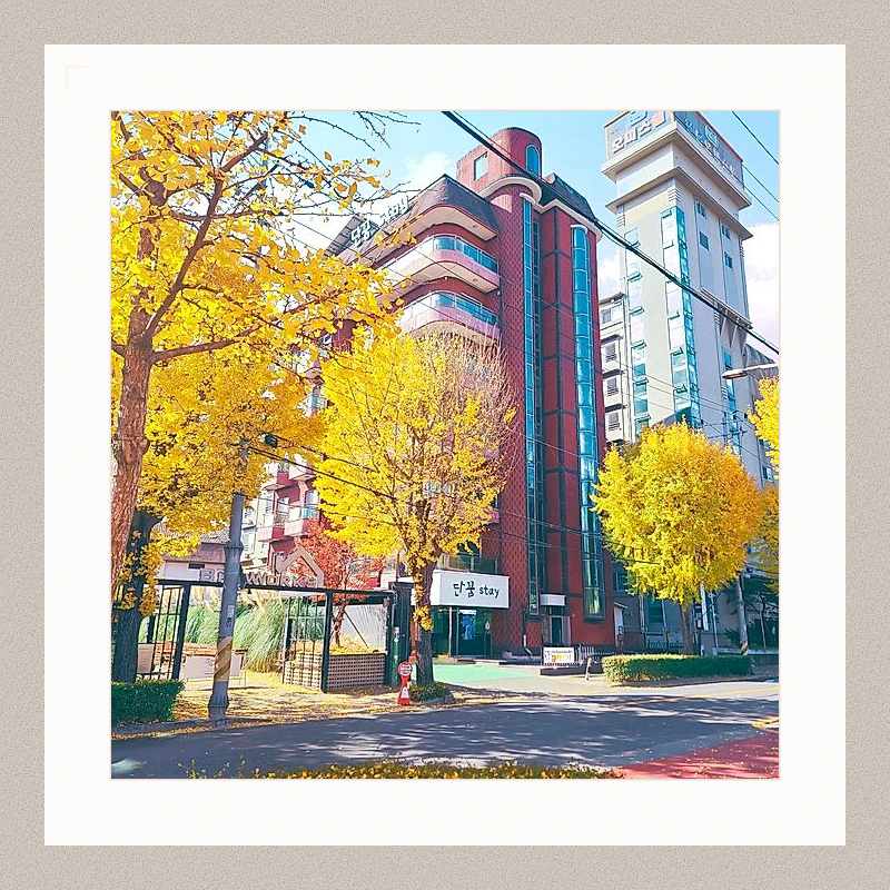 순천 단꿈 스테이 (Suncheon Dankkum Stay)_1