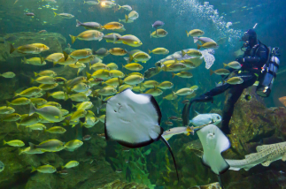 울진 가볼만한곳