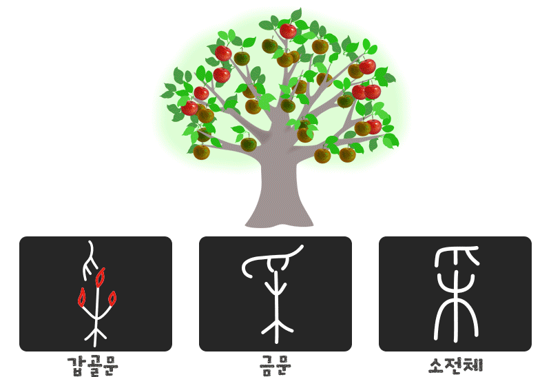 采(풍채 채) 갑골문 금문 소전체