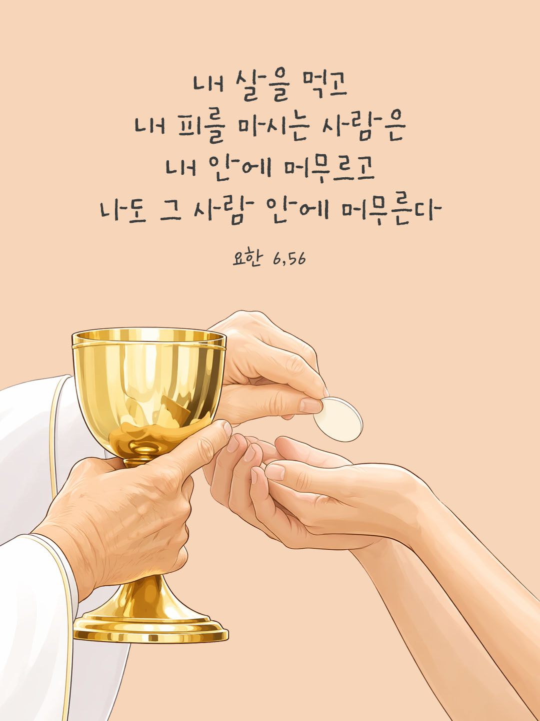 오늘 말씀카드 요한복음 6장 56절 성경구절 이미지