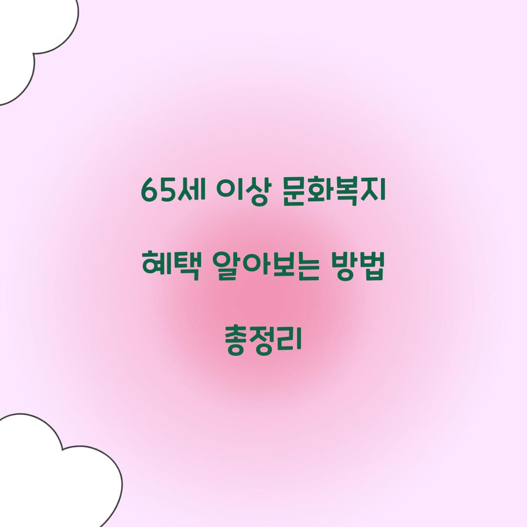 65세 이상 문화복지