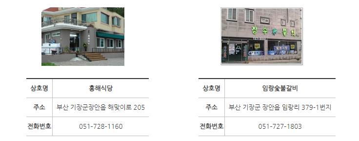 임랑해수욕장 차박 캠핑 카페 맛집 14