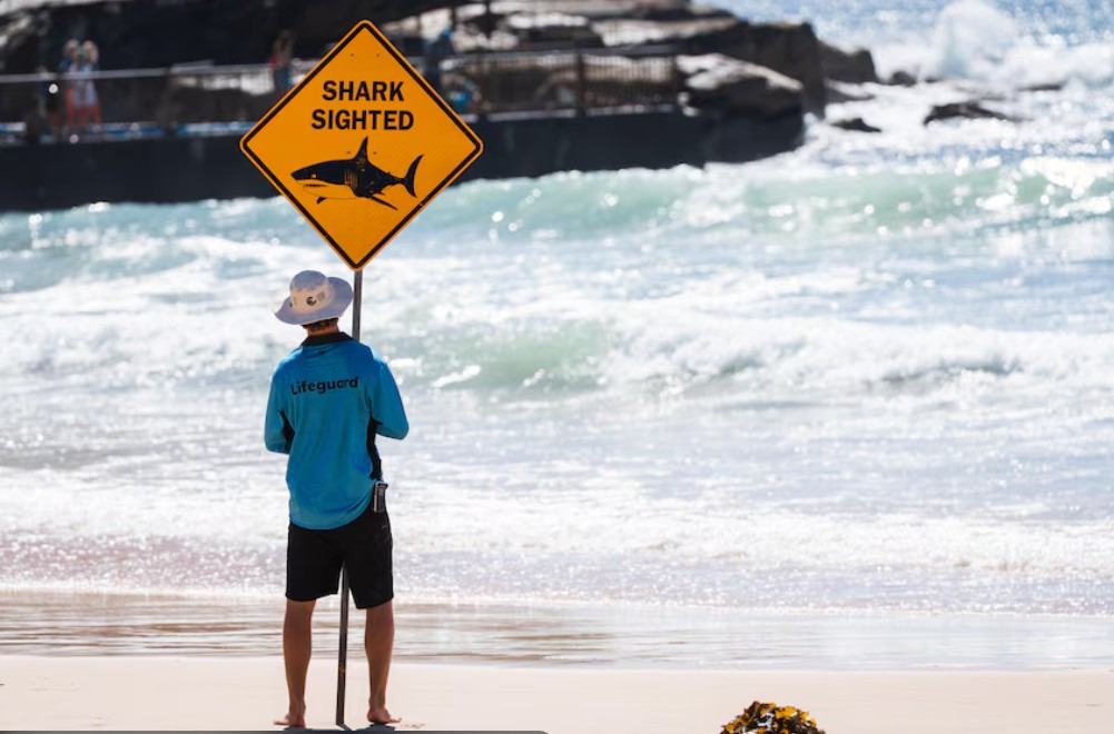 호주 시드니 주요뉴스