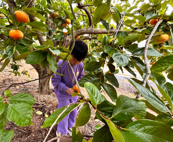 머시머시체험농장