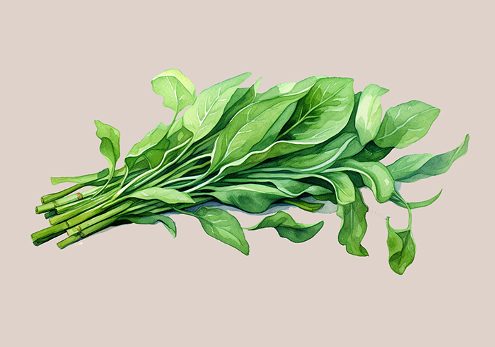 꺠끗이-세척한-시금치