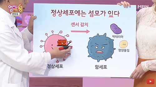 글리코영양소 글리칸