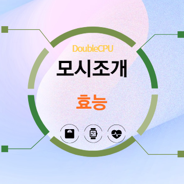 모시조개 효능 탐구