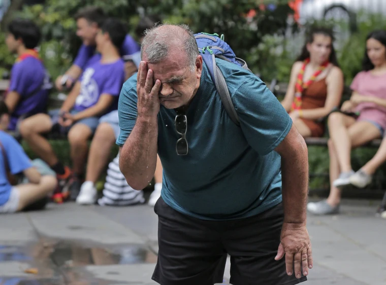 일사병과 열사병에 대한 종합 안내서