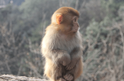 장가계 6월 날씨 정보와 옷차림 여행 팁