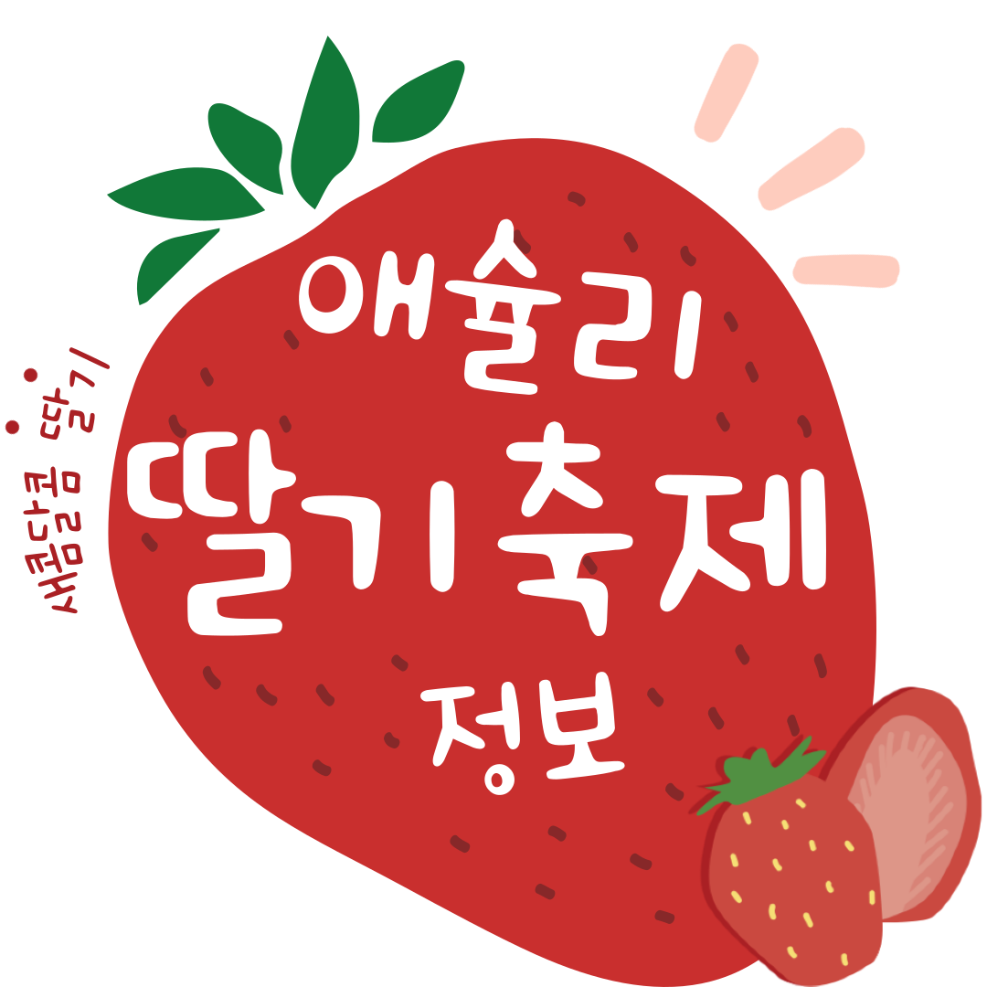 애슐리퀸즈 할인 방법 할인 카드 BEST 3