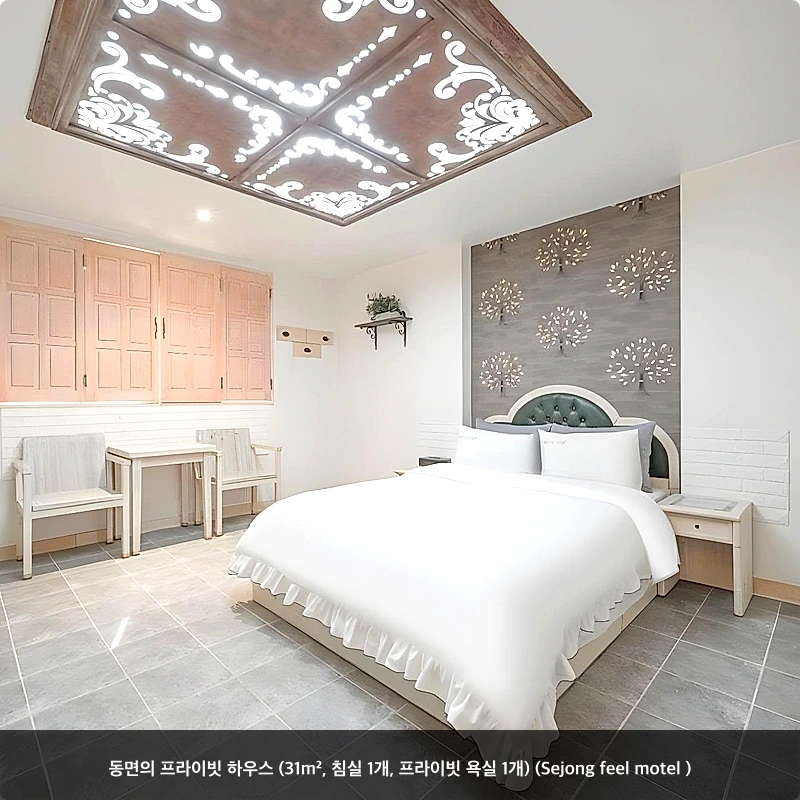 동면의 프라이빗 하우스 (31m², 침실 1개, 프라이빗 욕실 1개) (Sejong feel motel )_1