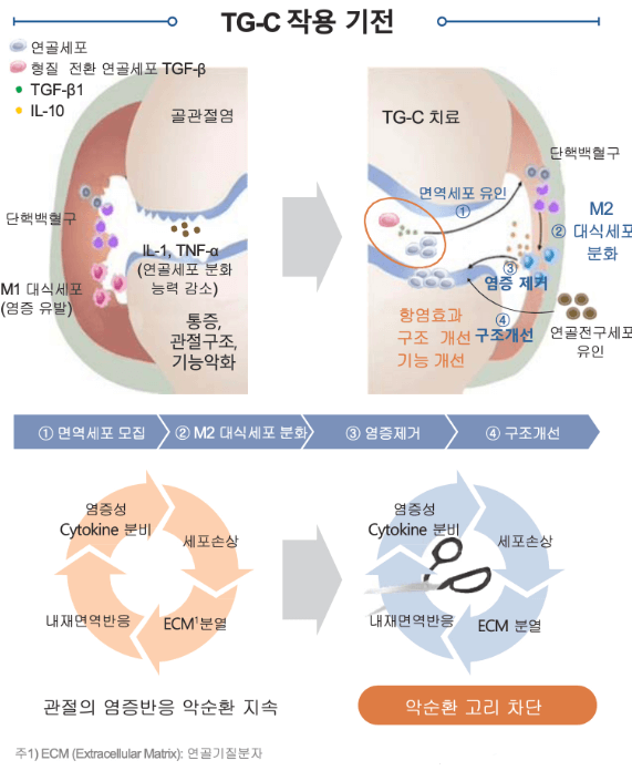 바이오사업