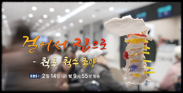 척추척수 종양