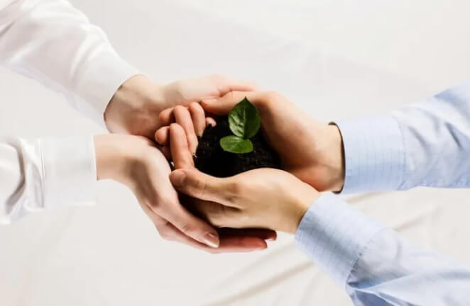 산불 재난지원금