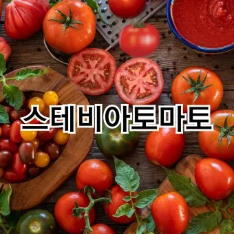 스테비아 방울토마토 칼로리 혈당 하루 섭취량_4