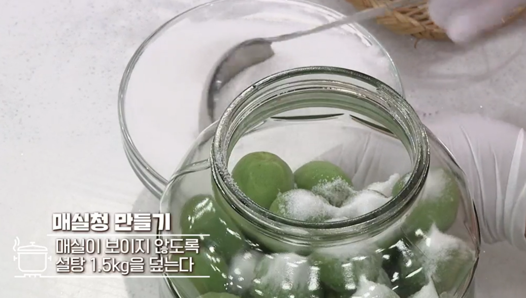 매실청 담그는 법