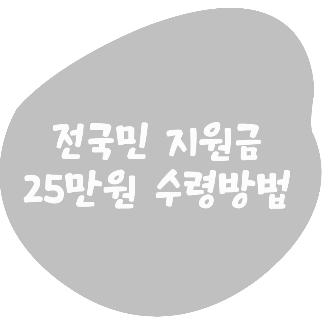 2025년 7월 전국민 지원금 25만원 수령 방법