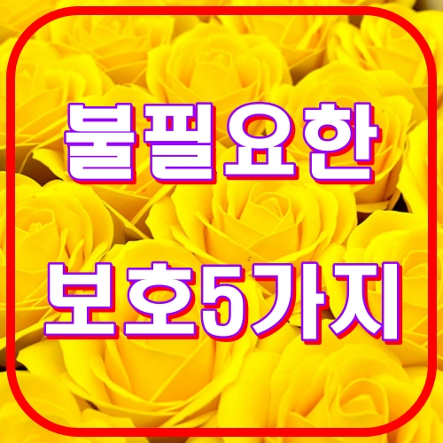 불필요한 보호5가지
