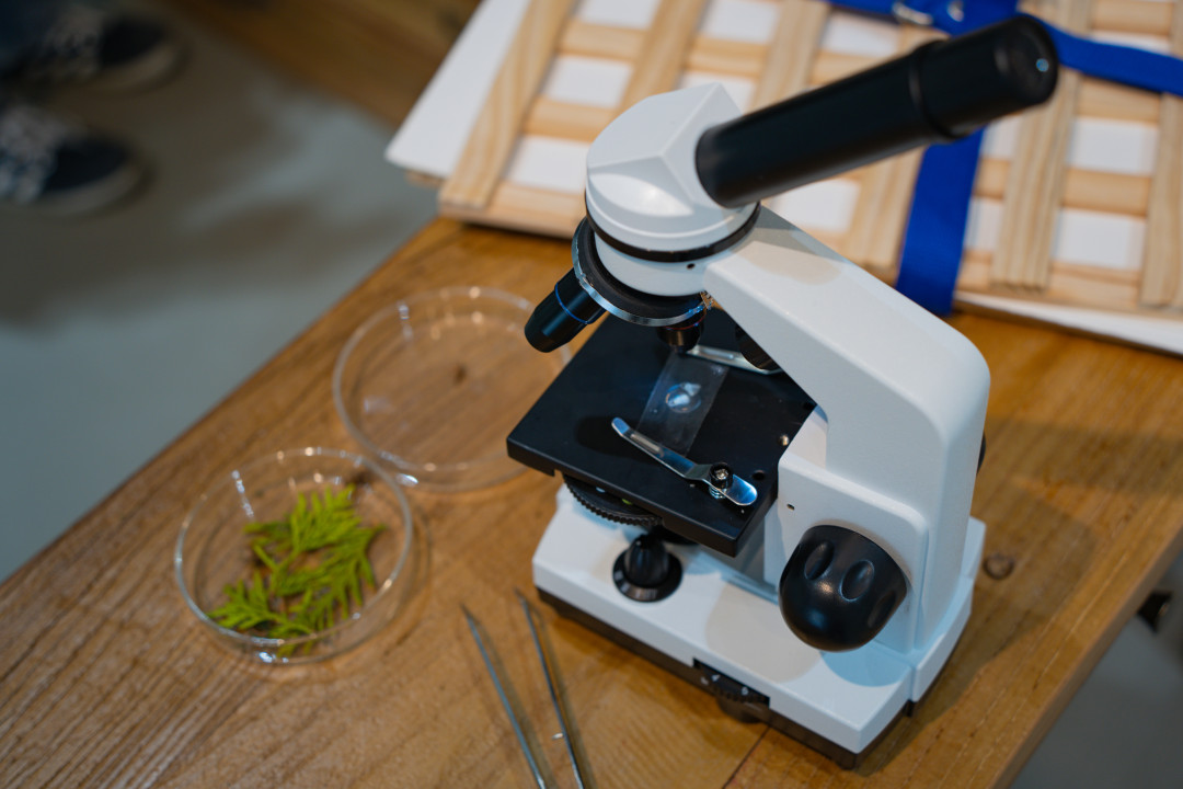 영흥 수목원 현미경