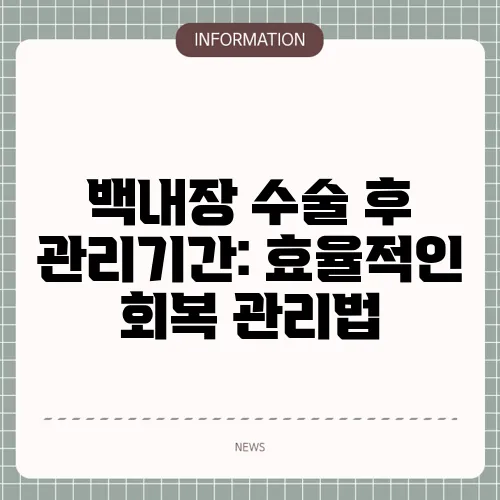 백내장 수술 후 관리기간: 효율적인 회복 관리법