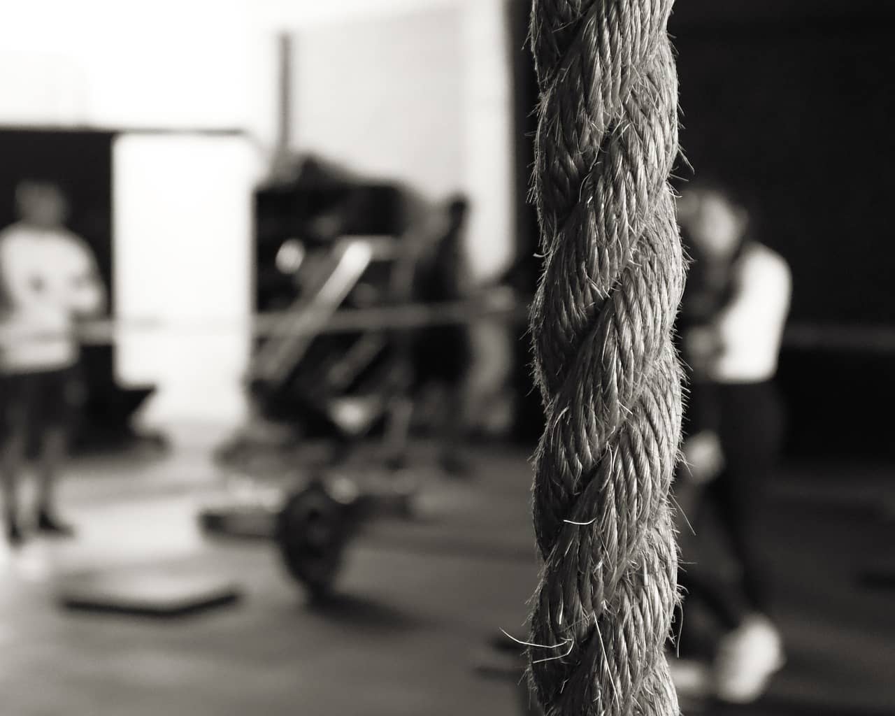 펜서 크롤: 표범처럼 민첩하게 기어가기 위한 훈련법