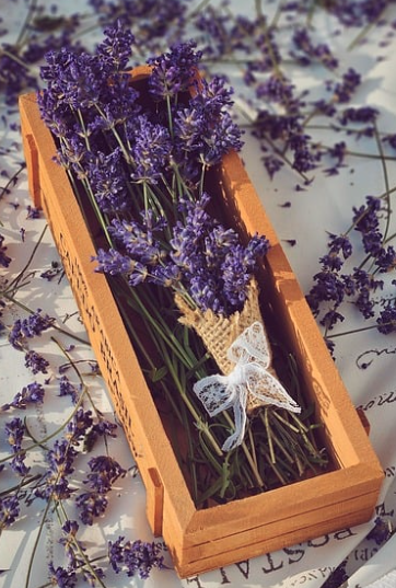 잠이 안올때 숙면에 좋은 차 5가지 추천 (권장량,섭취시간)