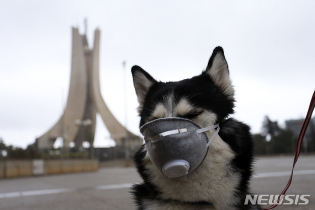 23.12.04 (월) 금일 상승률 Top 30 시간외 단일가 특이종목 및&nbsp;내일의&nbsp;이슈