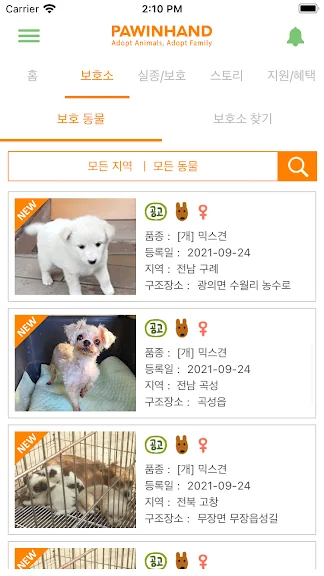 유기묘 새끼 고양이 무료 분양 어플 앱-10 유기묘 새끼 고양이 무료 분양 어플 앱-10