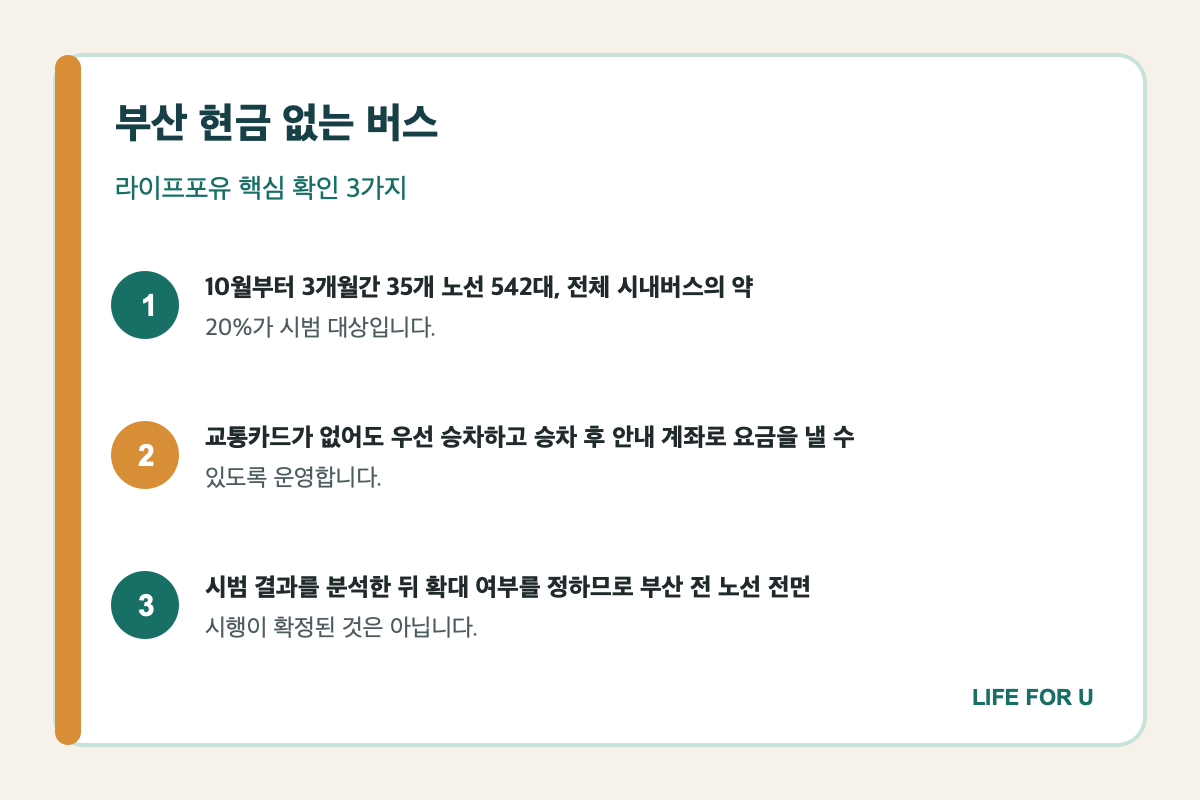 부산 현금 없는 버스 대상 규모와 교통카드가 없을 때의 대처법 핵심 요약