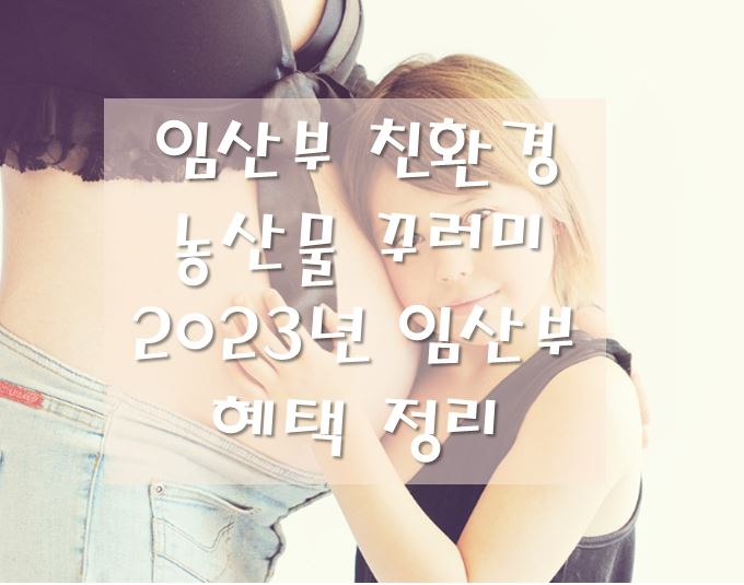 임산부 친환경 농산물 꾸러미-혜택 정리