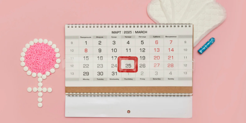 다낭성 난소 증후군 - 생리 주기 다이어그램