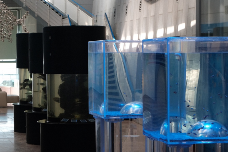 통영 수산과학관