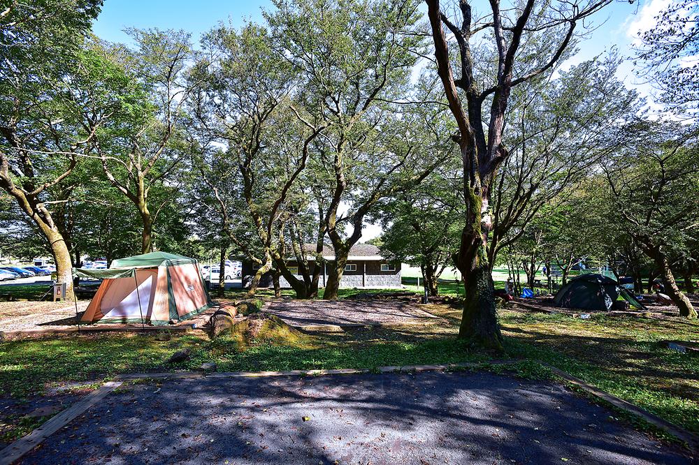 제주도 한라산국립공원 관음사지구 야영장